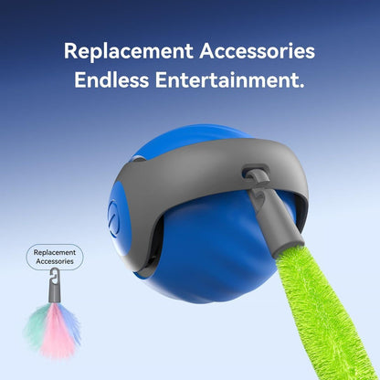 Rolling Ball Cat Toy 5wjxrz-wh